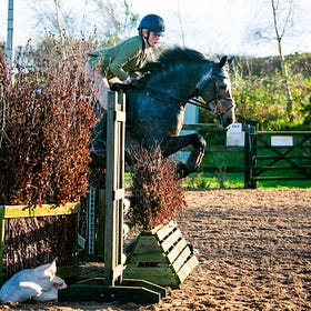 Fantastic day at Ardnacashel Working Hunter