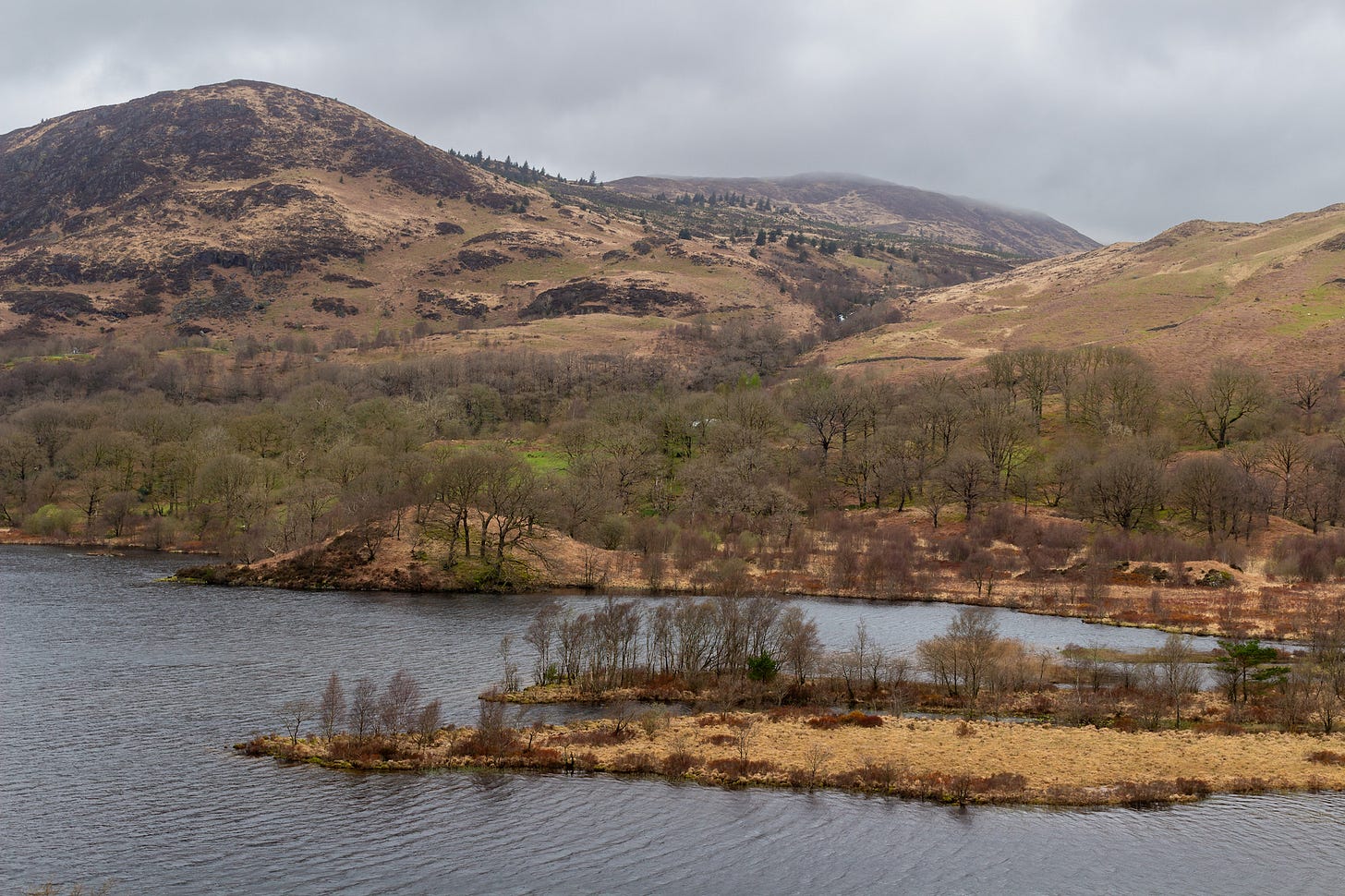 View across Loch Trool © Felicity Martin