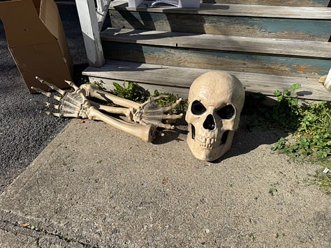 Meet Boney M and Marmaduke