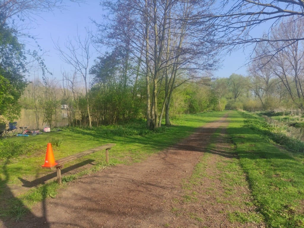 A cone on a bench, to make sure no one runs into it, by the side of the path. The biggest lake is to the left.