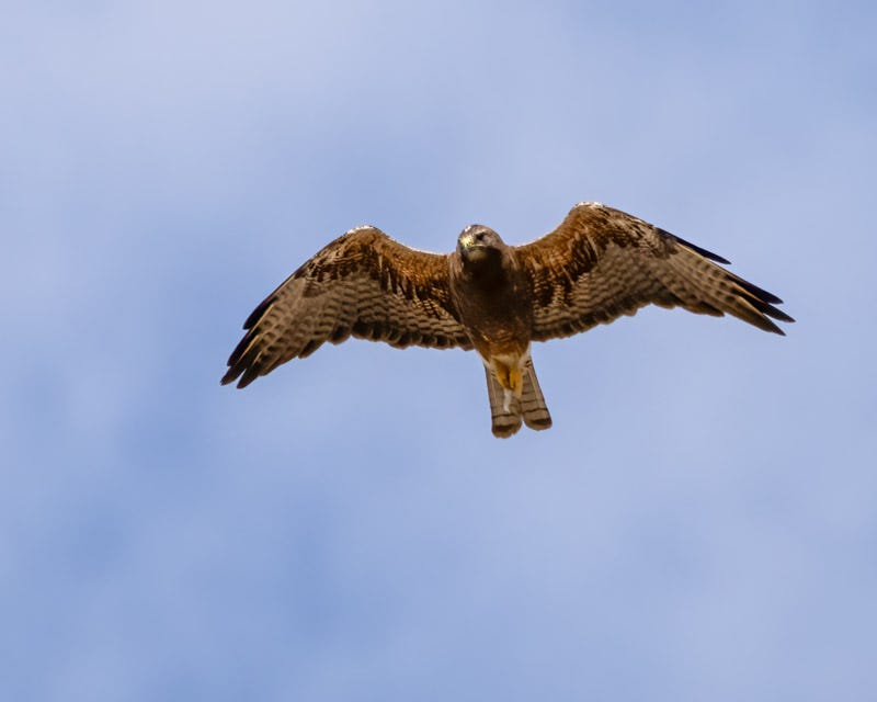 20250801-Manville-524-Edit.jpg 20250801-Manville-524-Edit.jpg