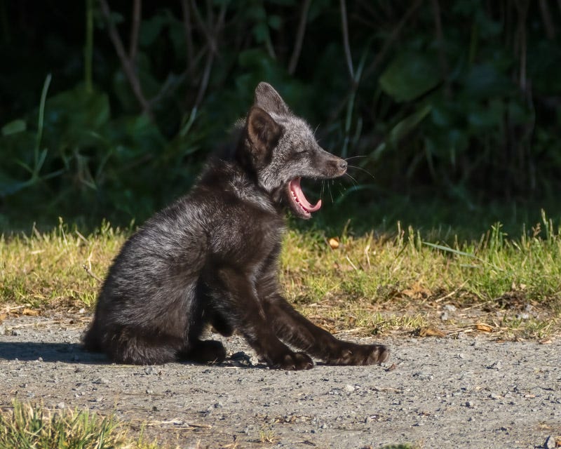 20250610-SJI3-626-Edit.jpg 20250610-SJI3-626-Edit.jpg