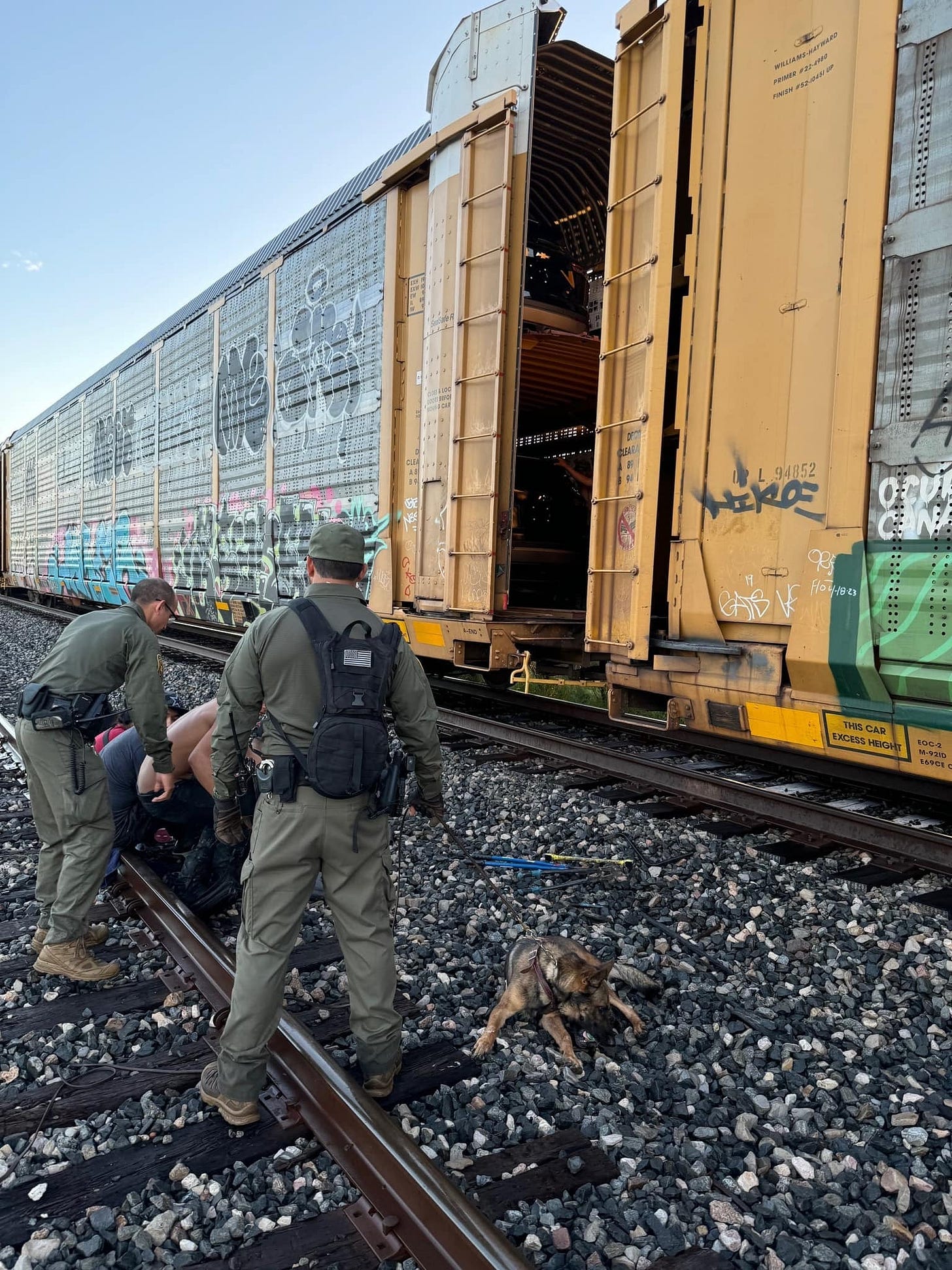 A Border Patrol K9 alerted to the presence of 20 illegal aliens aboard this Union Pacific train in Cotulla, Texas, on July 12, 2024. (US Border Patrol photo)
