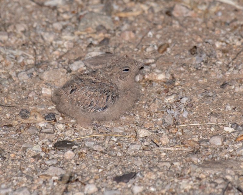 20200623_LN-62.jpg 20200623_LN-62.jpg