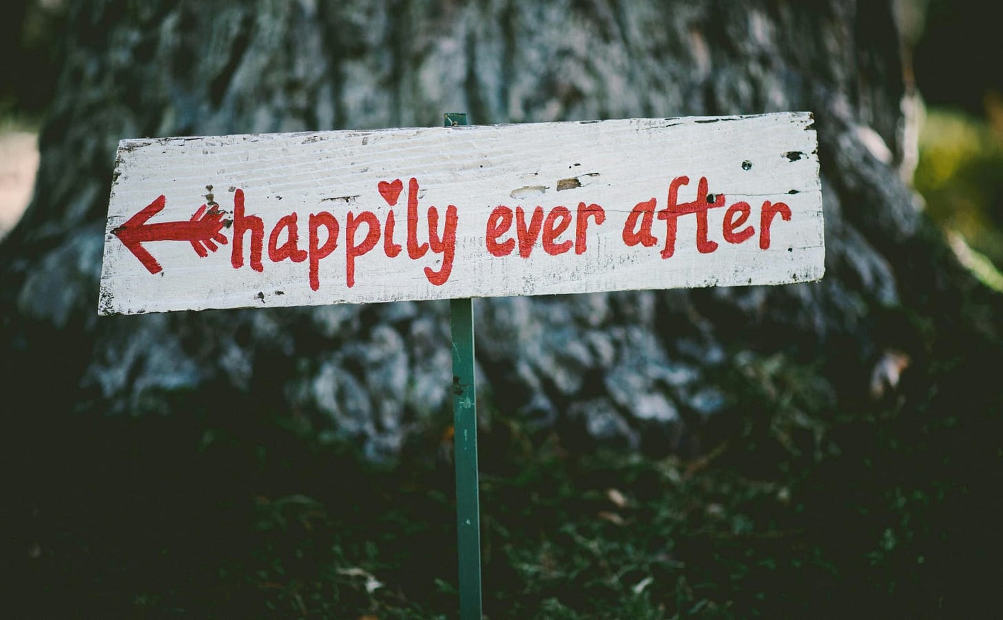 white wooden sign in the woods handpainted with the words happily ever after in red