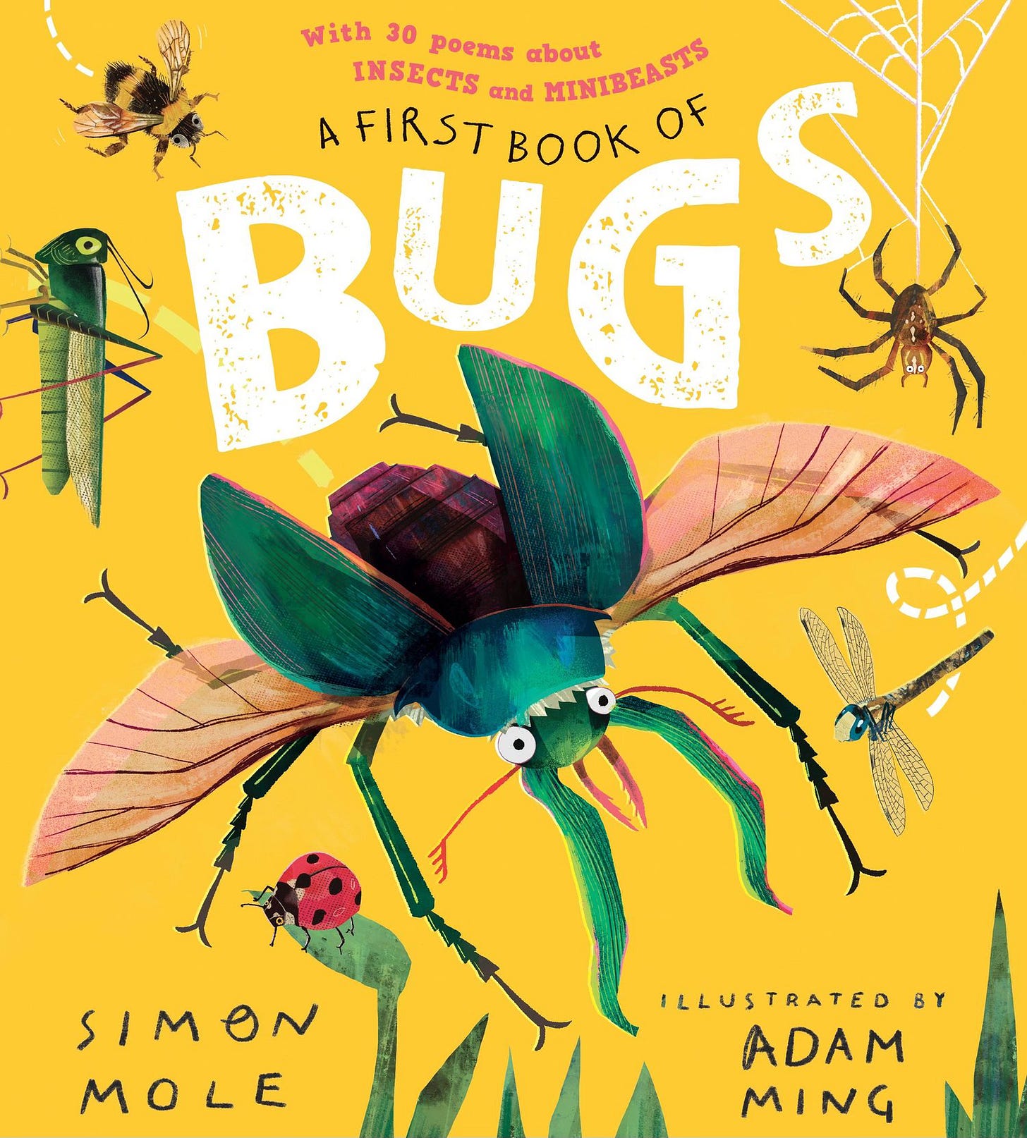 Front cover of 'A First Book of Bugs' }— yellow background with a large fly and other insects.