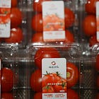 Essay 3: Too Smart for Their Own Good