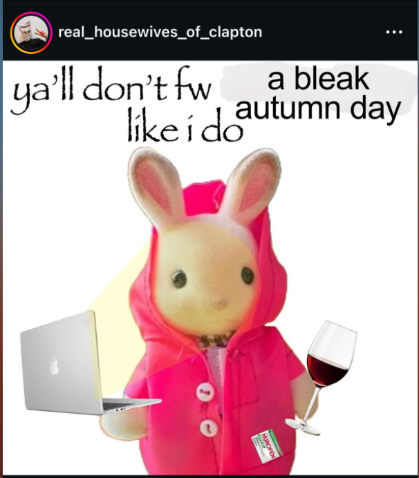 cozy autumn meme cozy autumn meme