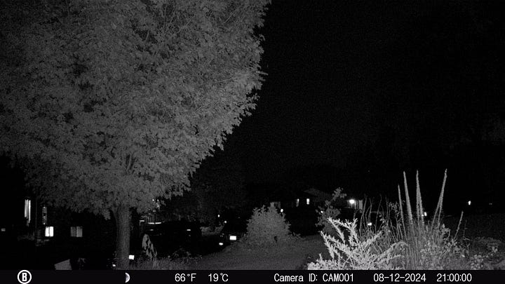 Light Anomaly Caught on Trail Camera