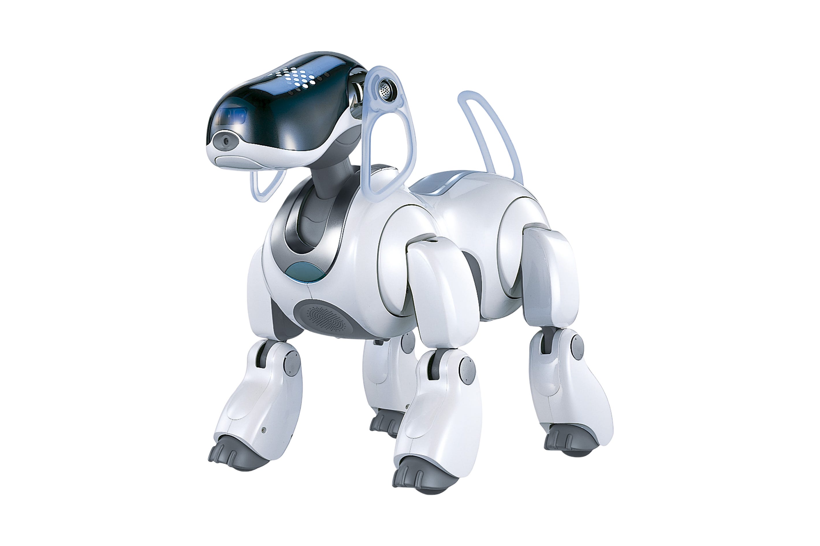 SONY ERS-7 エンターテインメントロボット AIBO ERS-7 Aibo Overview | Learn About Aibo | Virtual Paws