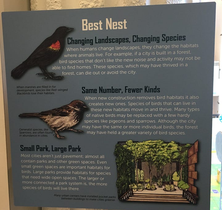 Photos of four signs from the City Science exhibit that give deeper context to exhibit interactives: Neighborhood Design; Director of Traffic (about traffic engineering), City Hot Zones (what causes urban heat islands), and Best Nest (discusses the impact of landscape change on bird biodiversity).