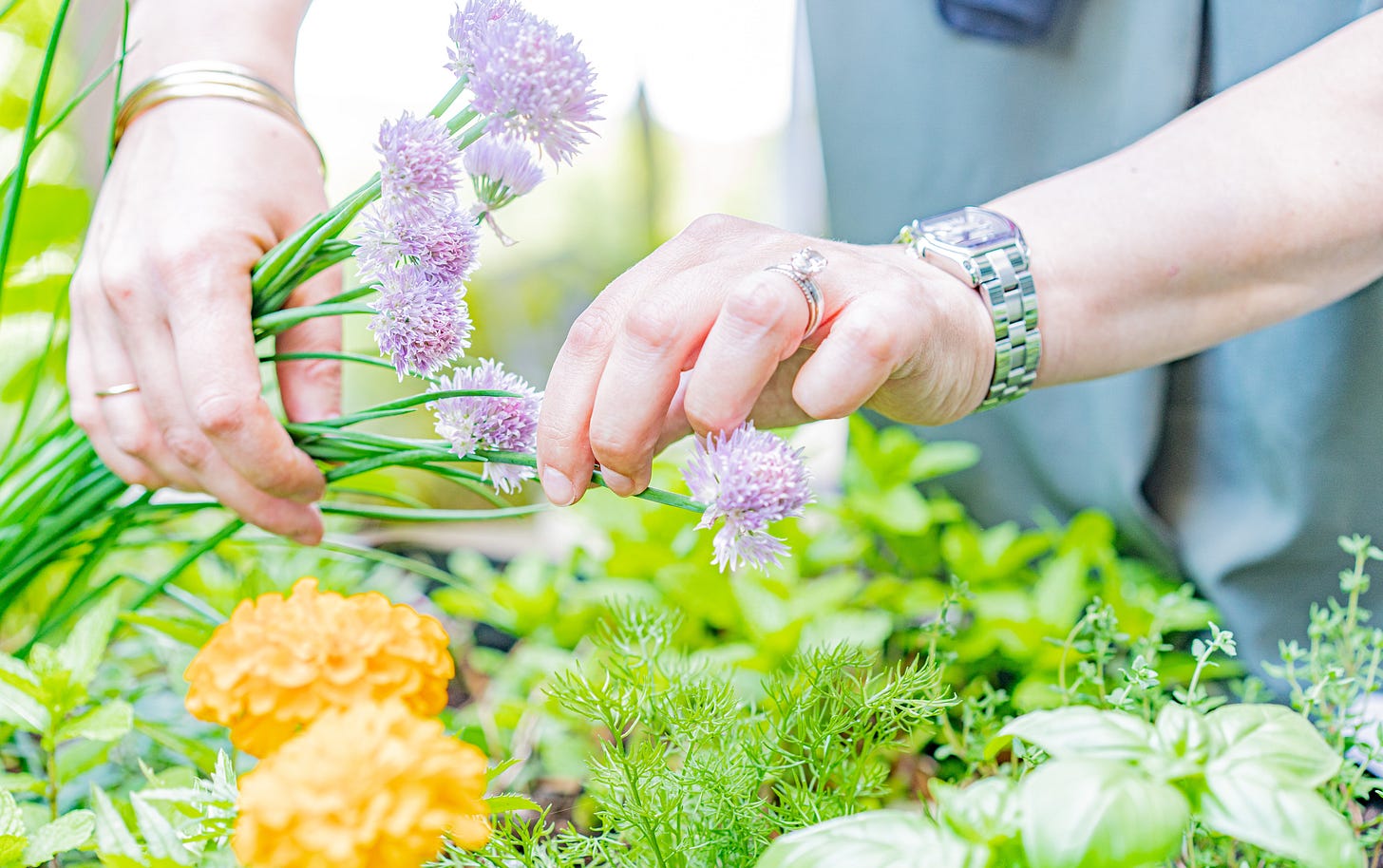 Jessie Ross' herb garden bed