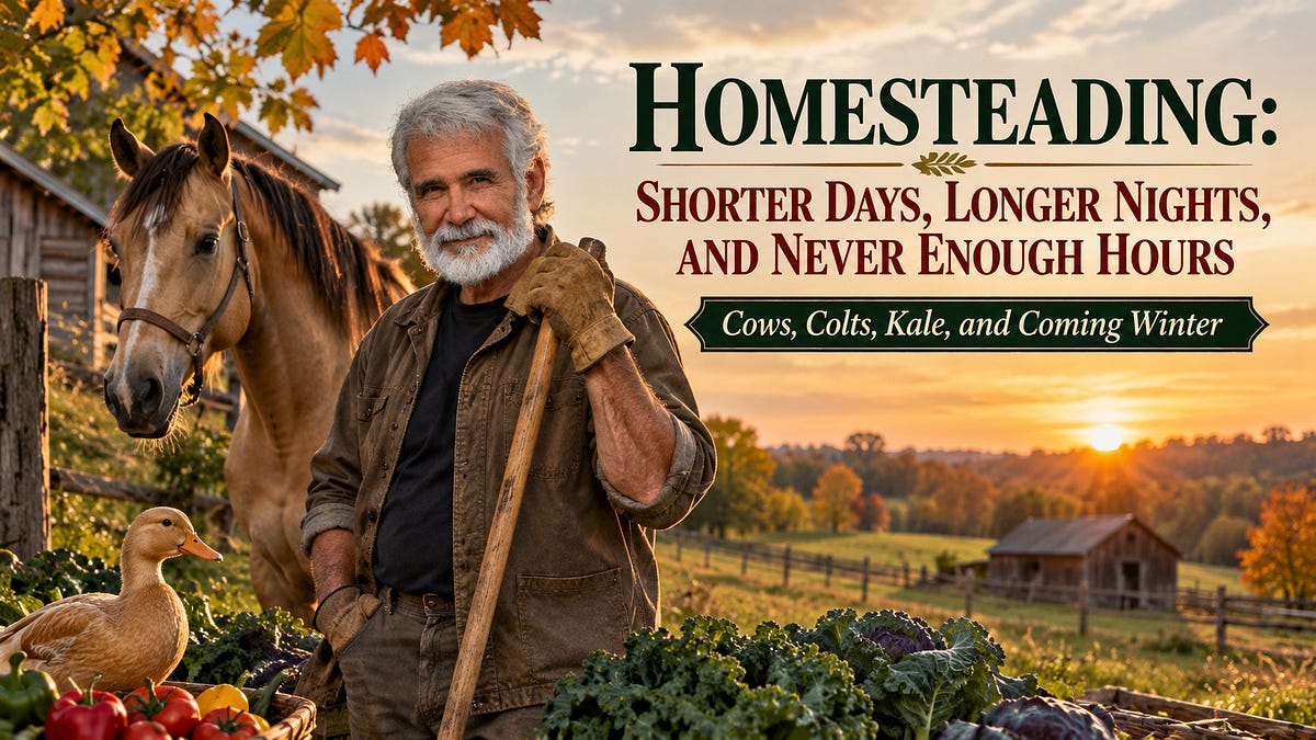 Homesteading: Shorter Days, Longer Nights, and Never Enough Hours