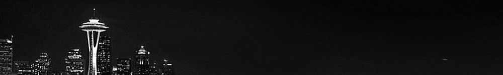 0018_THEESatisfaction_skyline