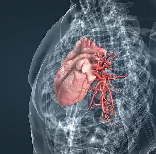 Photo the blood vessels of the pulmonary circulation are the pulmonary arteries and the pulmonary veins