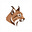 Avatar de Lince