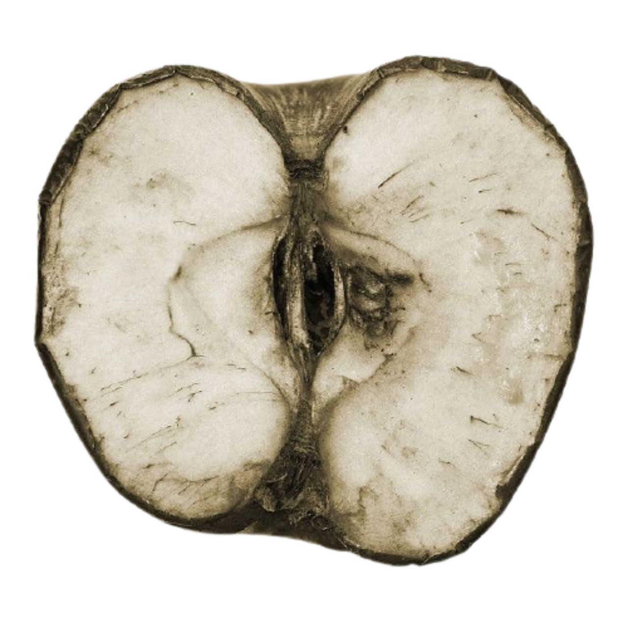 rotten fruit diaries