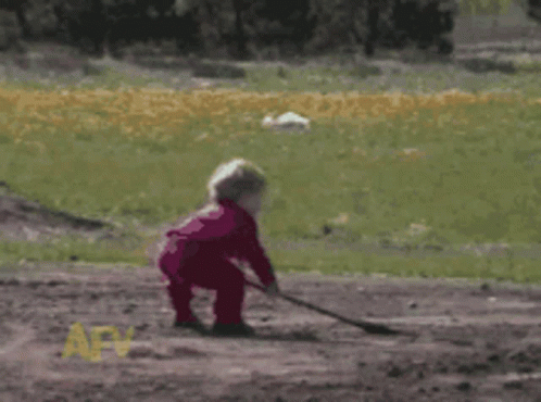 a person is holding a stick in a field with the letters afv on the bottom a person is holding a stick in a field with the letters afv on the bottom