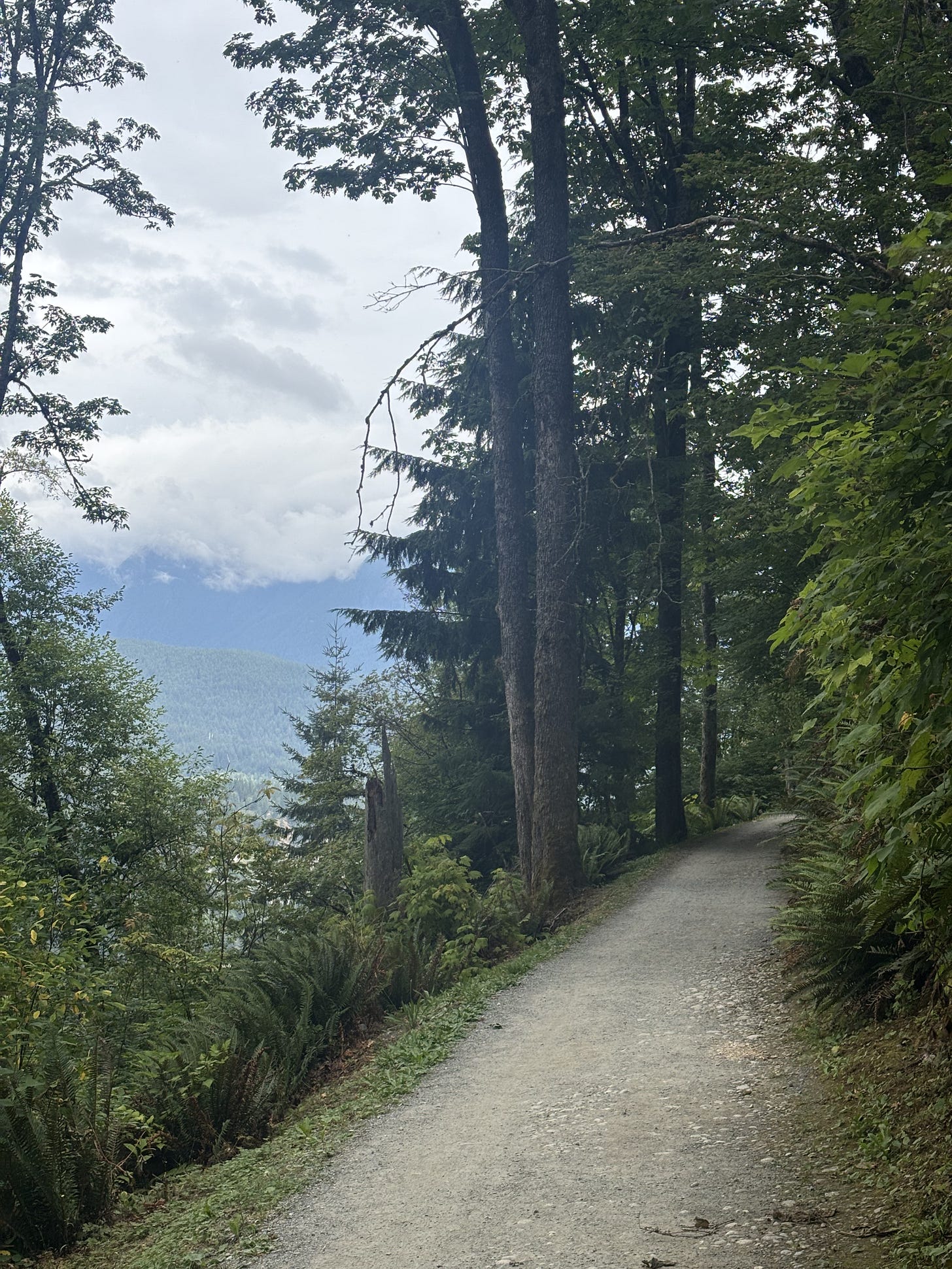 A trail leads into the forest with a view of mountains and clouds to the left