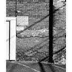 Dispatches From the Basement