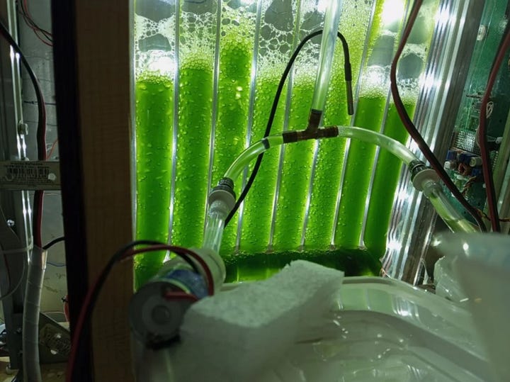 Two views of the photobioreactor prototype, which is a screen of clear plastic tubes filled with a green liquid. It’s held up on a stainless-steel engineering frame, with the clutter of power and plumbing attachments visible all around.
