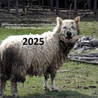 A wolf in sheep's clothing [2025 re-issue]