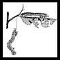 Christine Jones's avatar