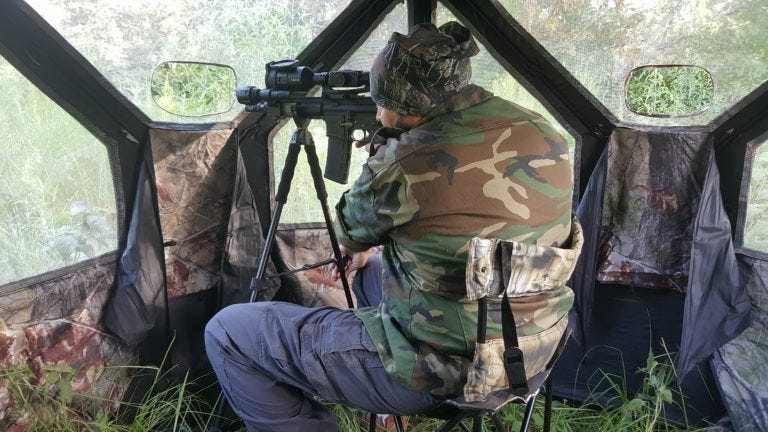 Texas Wild Hog Hunting