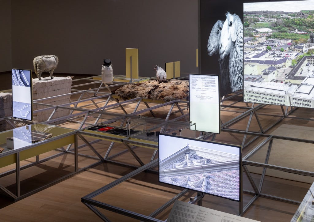 Room view Formafantasma, installation from above Room view Formafantasma, installation from above