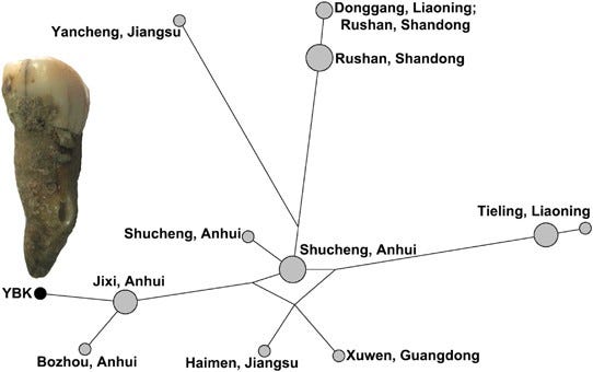 Figure 1 Figure 1