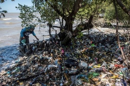 Is sustainable packaging enough to eliminate plastic pollution? Is sustainable packaging enough to eliminate plastic pollution?