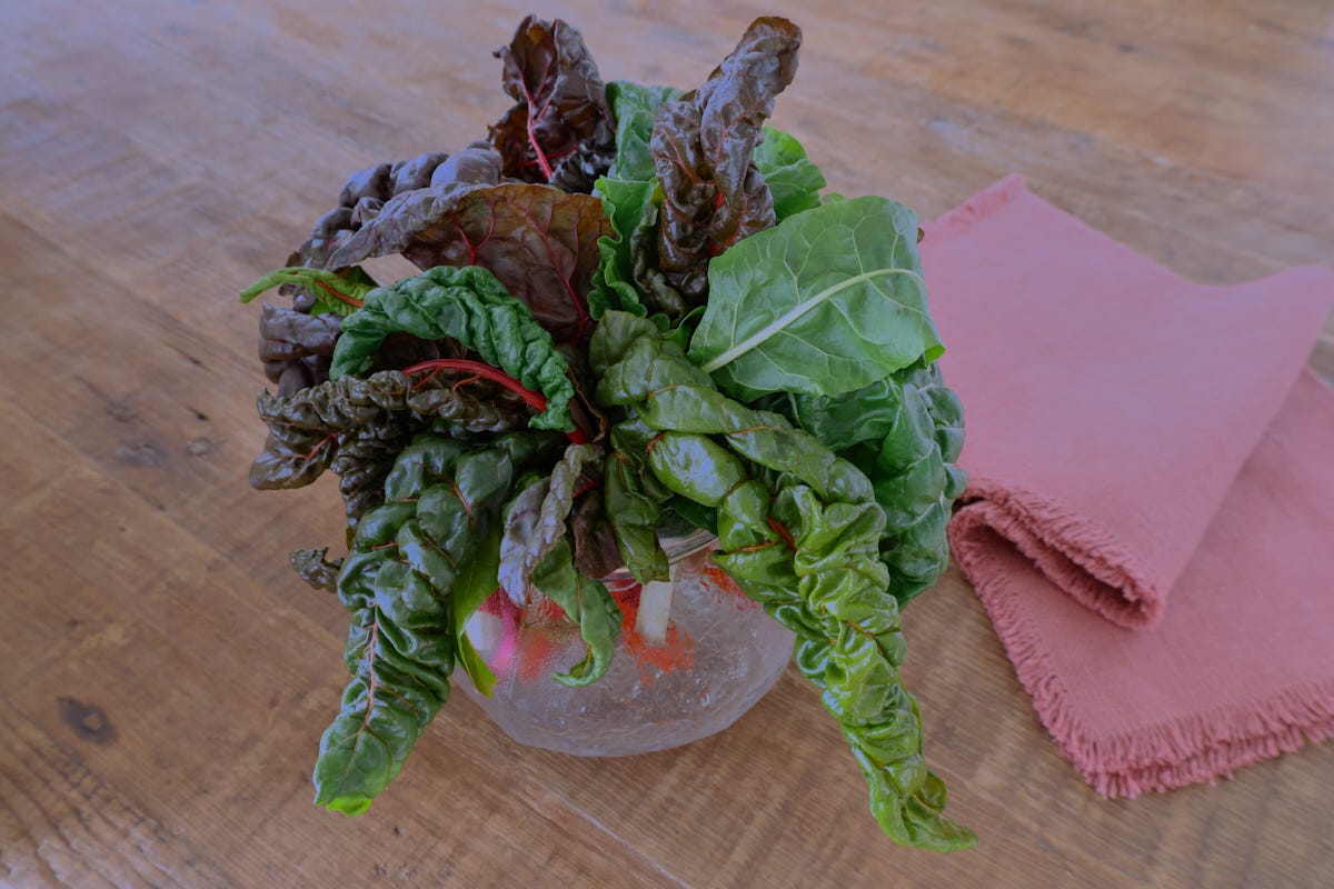 swiss chard in a vase with a napkin swiss chard in a vase with a napkin