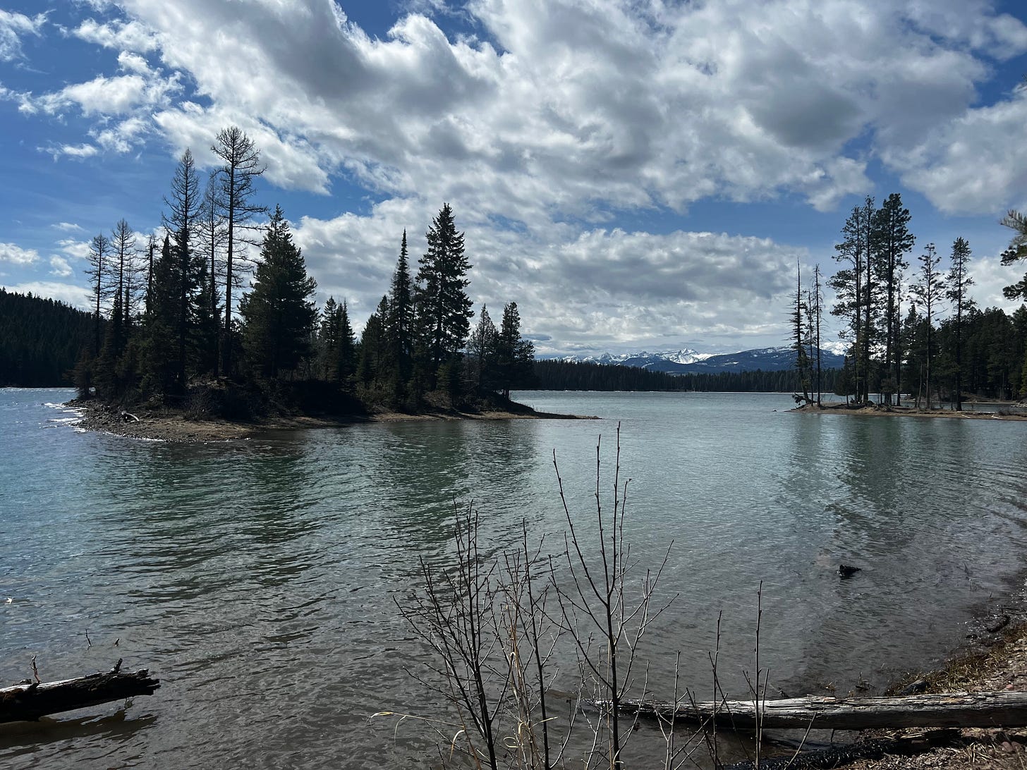 A partly cloudy blue sky over a lake, snow-capped mountains in the far distance and a tiny island covered in evergreen trees closer to the front.