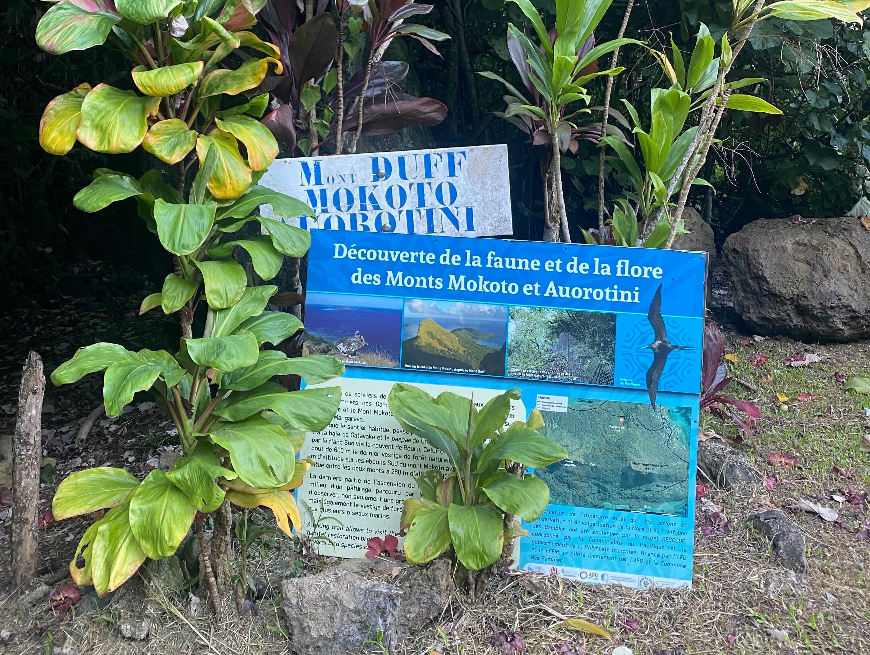 Hiking Mount Auorotini (Duff) and Mount Mokoto