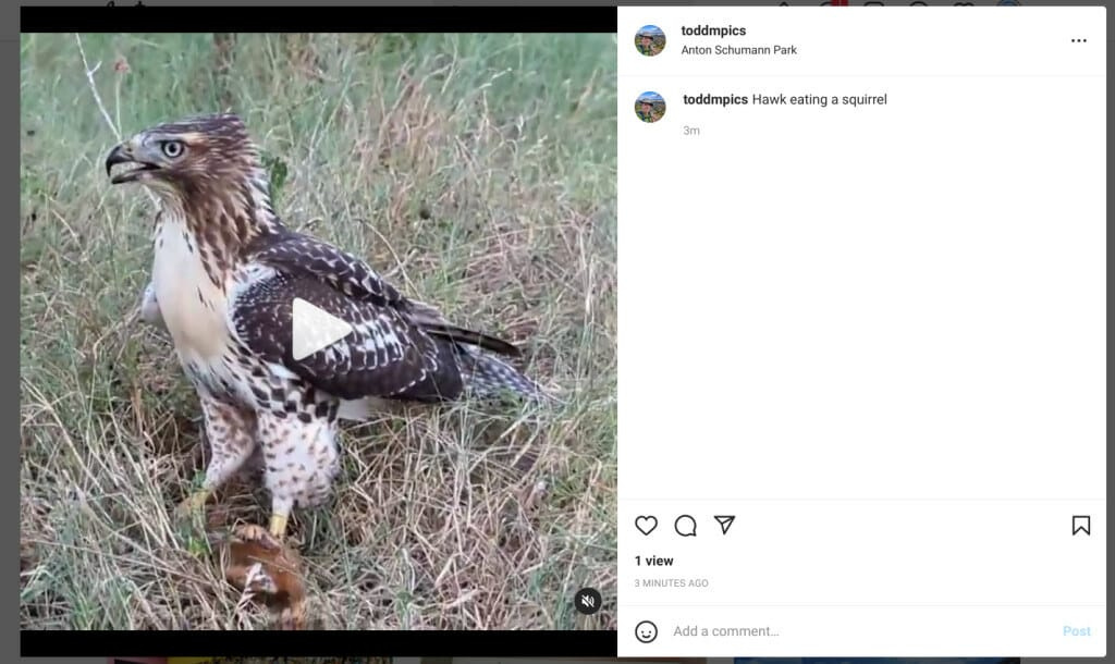 Instagram video link
