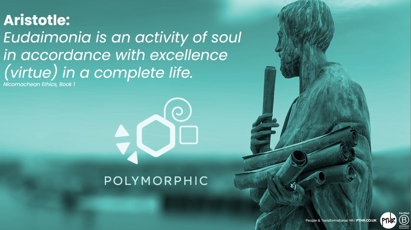 POLYMORPHIC ORGANISATIONS — PART VI - by Perry Timms
