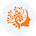 Root & Reach