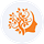 Root & Reach