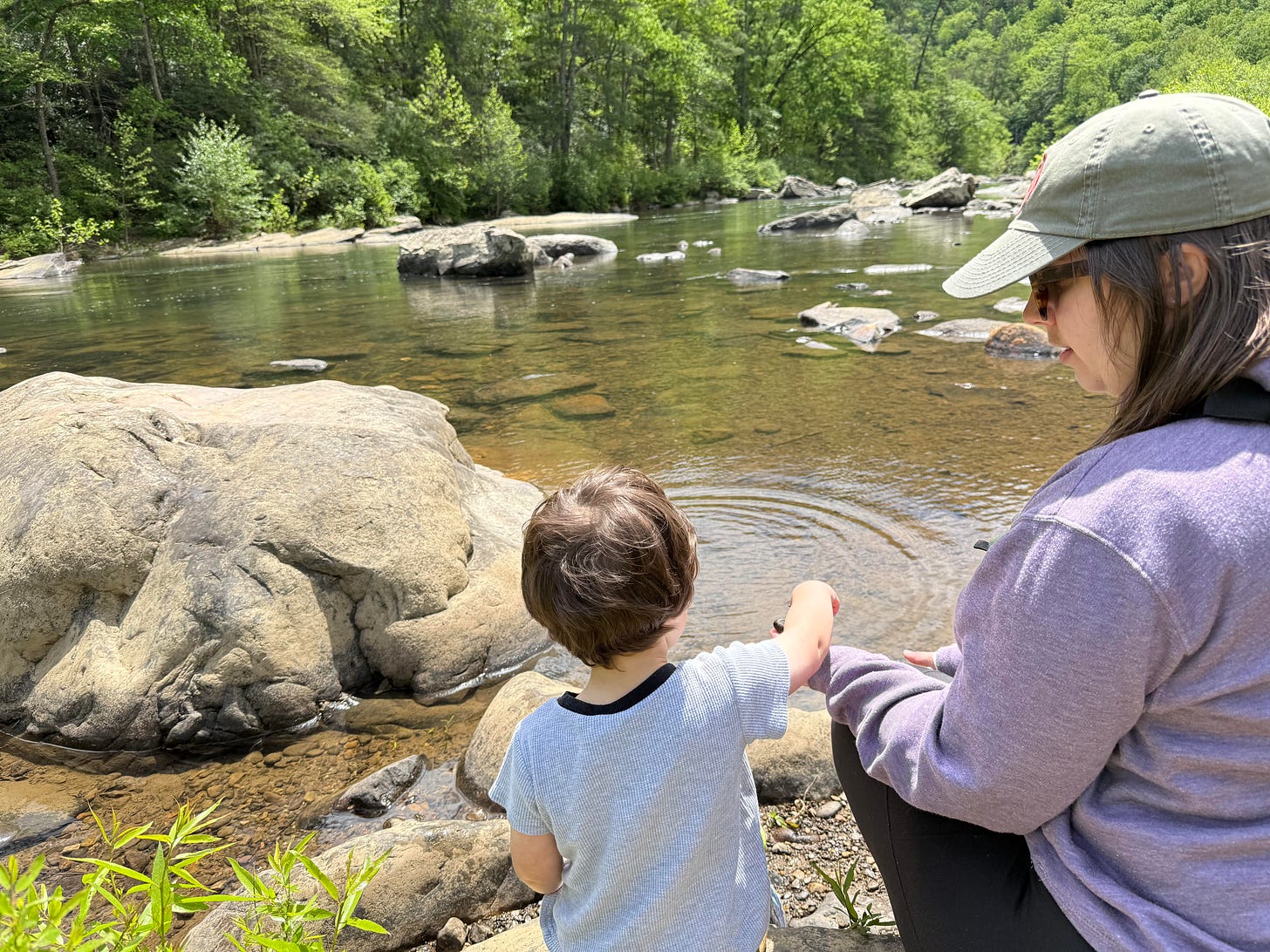 Woman in purple hoodie and ball cap smiling at a toddler who is facing away from the viewer. They are sitting on a rock in the Maury River. The toddler is taking rocks from the woman's hand to throw into the river. They are surrounded by  trees and nature and sunshine.