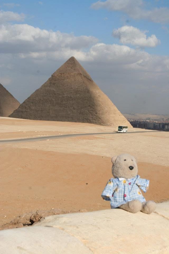 nathaniel behr teddy bear at pyramids