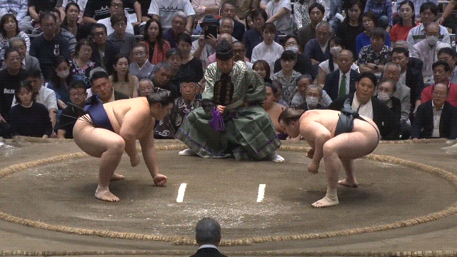 Sumo Stomp! | Tim Edwards | Substack