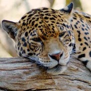 Let Magic Happen Newsletter