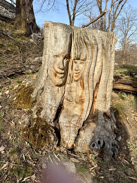 Carved faces in tree stumps