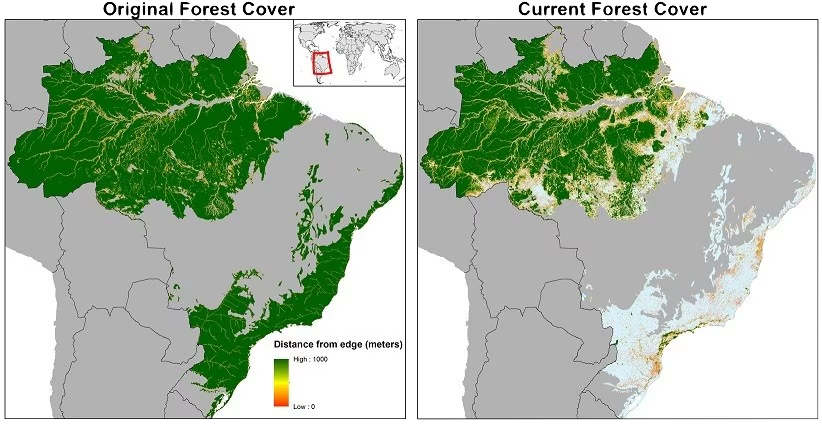 Two maps of the Amazon rainforest, showing original forest cover and the forest cover in 2018.