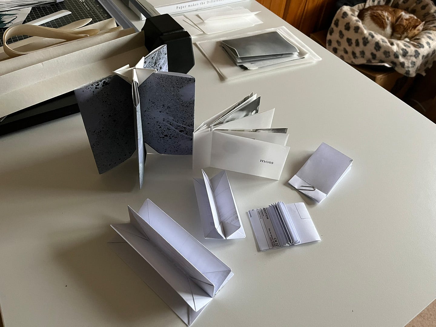 A selection of test books and folded spines (Crown Book, Guest Book) by artist Michela Griffith