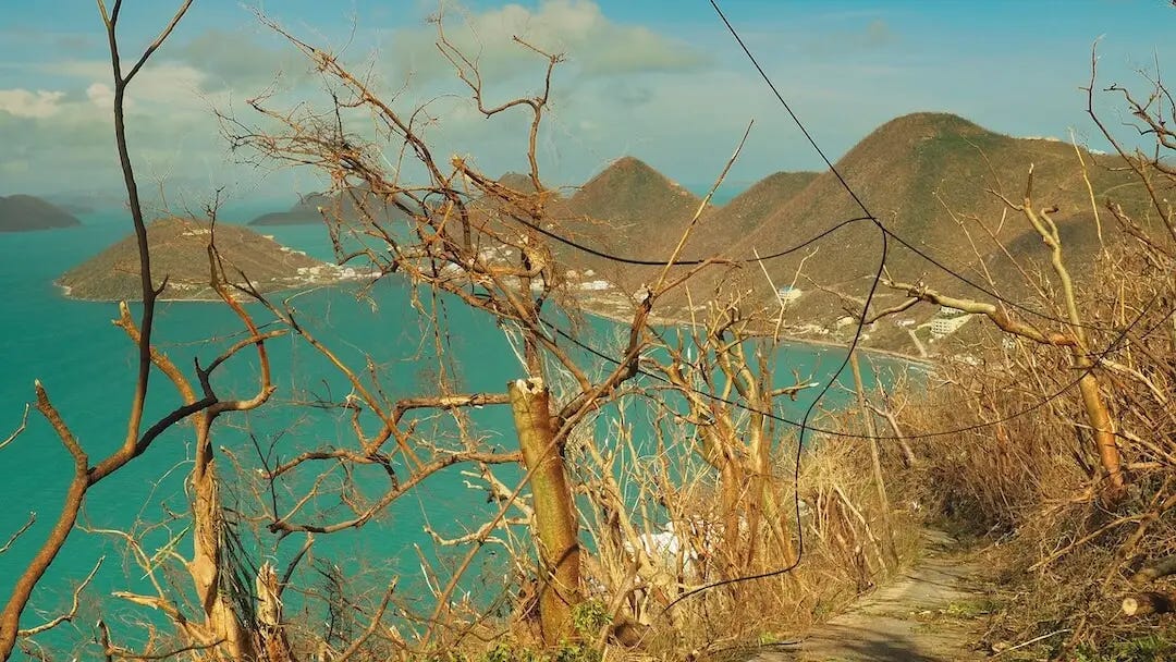 Bare trees and rubble block a road with a view of the sea in the background