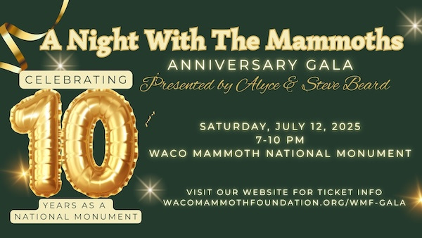 night-mammoths-anniversary