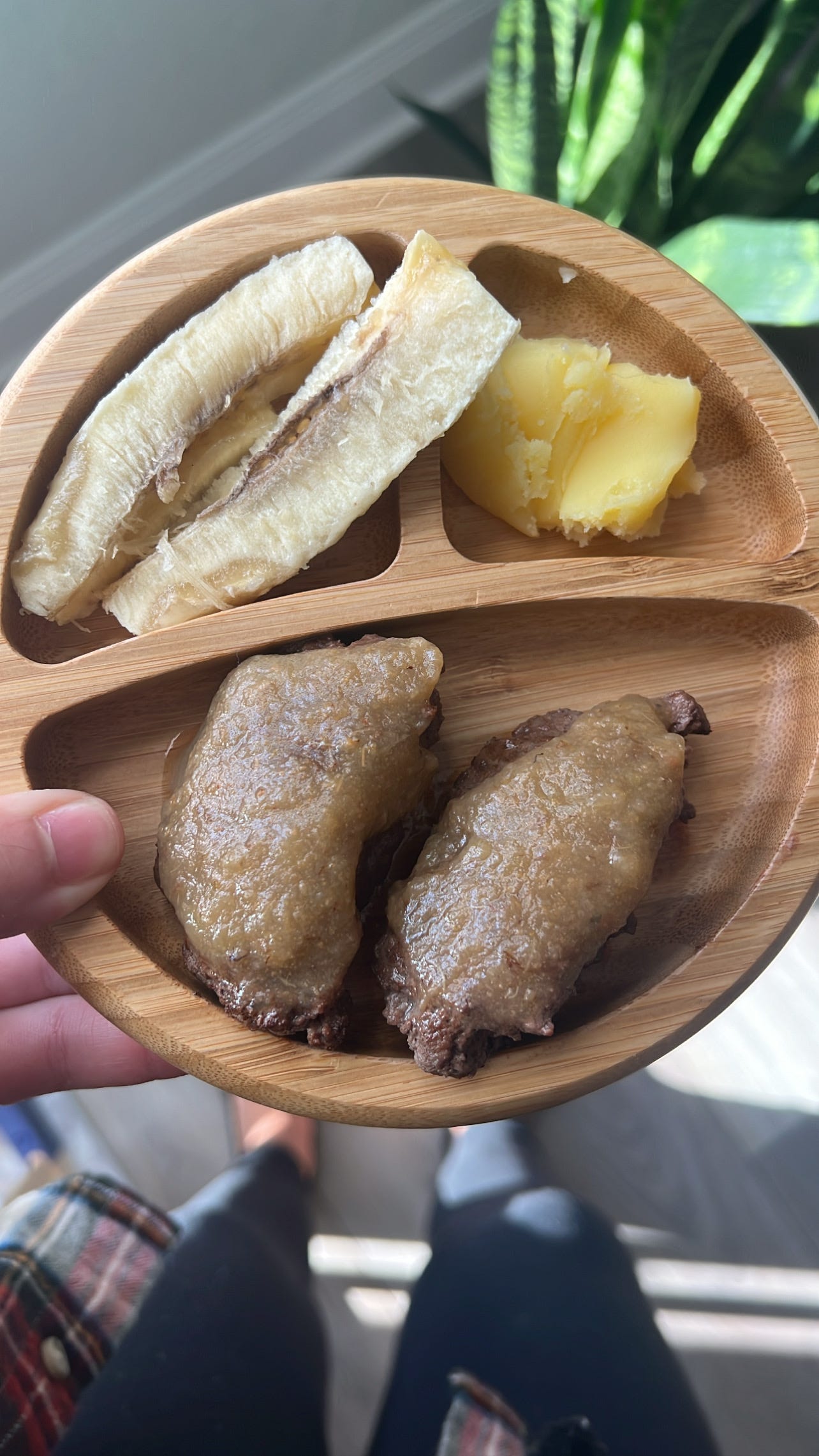 animal-based first foods