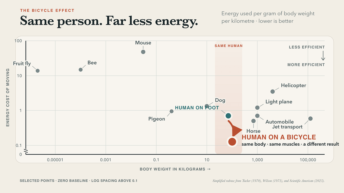 Simplified locomotion chart highlighting the dramatic reduction in energy use when a human rides a bicycle