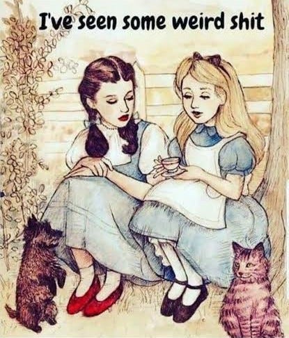 Alice to Dorothy I've Seen Some Weird Shit; Tea with Toto and Dinah Alice to Dorothy I've Seen Some Weird Shit; Tea with Toto and Dinah